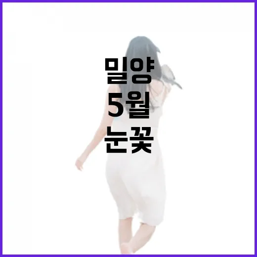 밀양댐 이팝길, 5월 눈꽃 드라이브 명소