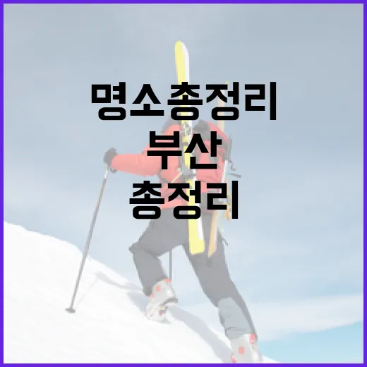 부산 배드민턴 명소 총정리