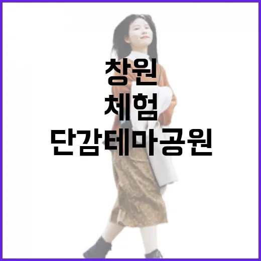 창원단감테마공원, 단감의 모든 매력 체험