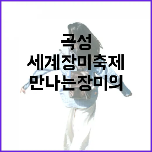 곡성에서 만나는 장미의 향연, 세계장미축제