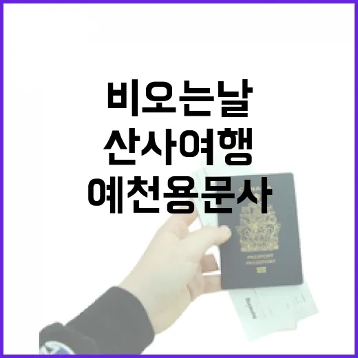 비 오는 날 더욱 빛나는 예천 용문사 산사여행