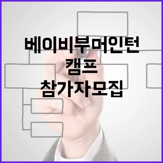 경기도 베이비부머 인턴 캠프 참가자 모집