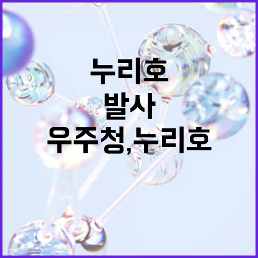 우주청, 누리호 추가 발사 신중 검토 중