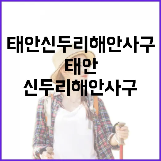 태안 신두리 해안사구의 자연과 생태