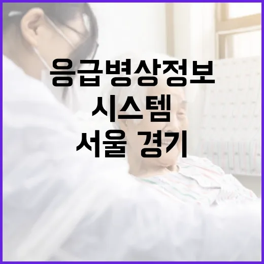 서울·경기 정신응급병상 정보시스템 시범운영