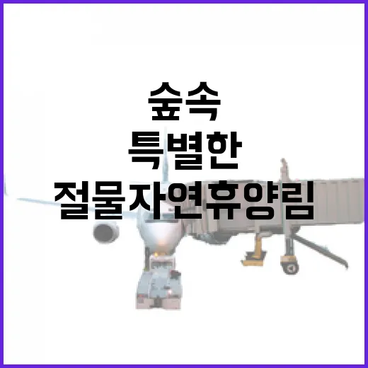숲속 목공예 체험, 절물자연휴양림의 특별한 손길