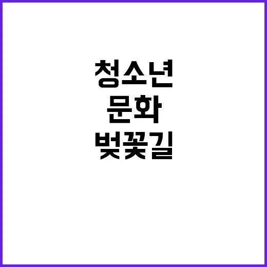 벚꽃길 따라 만나는 제주 청소년 문화쉼터