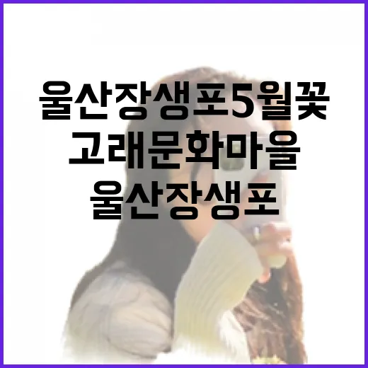 울산 장생포 5월 꽃향기 가득한 고래문화마을