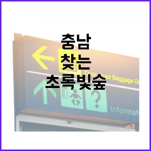 초록빛 숲에서 찾는 충남의 힐링