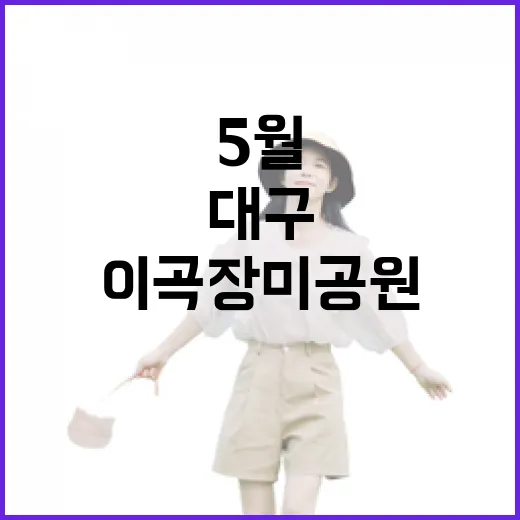대구 이곡장미공원 5월 장미꽃 만개