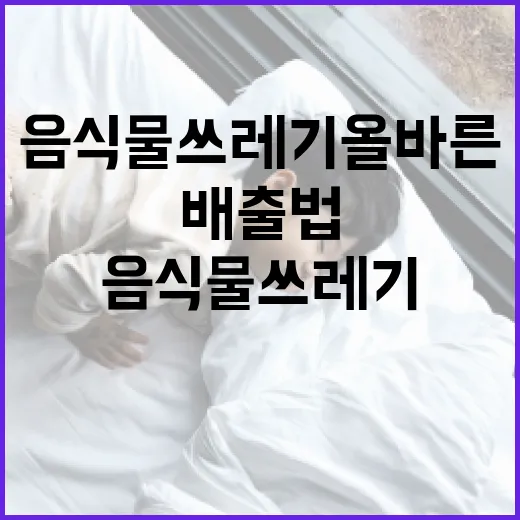 음식물쓰레기 올바른 배출법