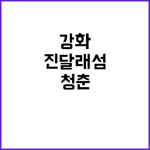 강화 진달래섬 아트…