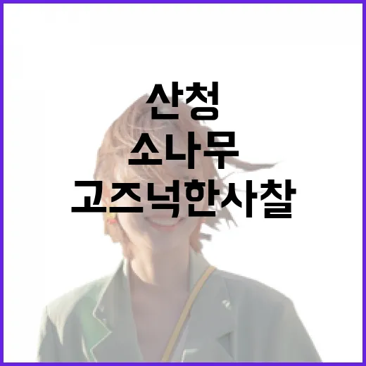 산청 수선사, 소나무 숲 속 고즈넉한 사찰