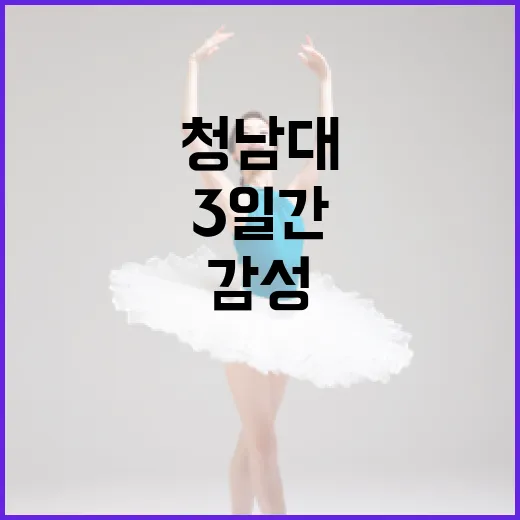 청남대 재즈토닉 3일간의 감성 피크닉