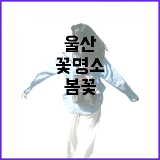 울산 MBC 문화 동산 봄꽃 명소