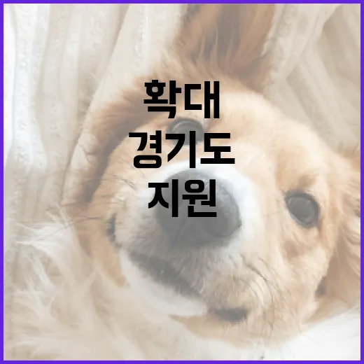 경기도 입양견 행동교정 지원 확대