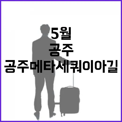 공주 메타세쿼이아길, 5월의 청량한 산책로