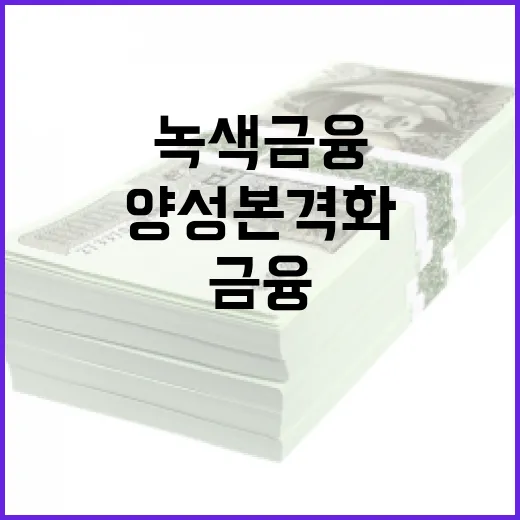 녹색금융 전문인력 양성 본격화