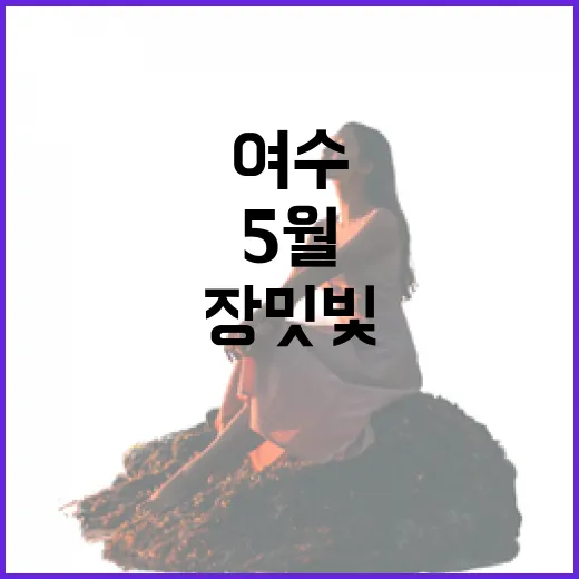 여수 성산공원 장미축제, 5월의 장밋빛 향연