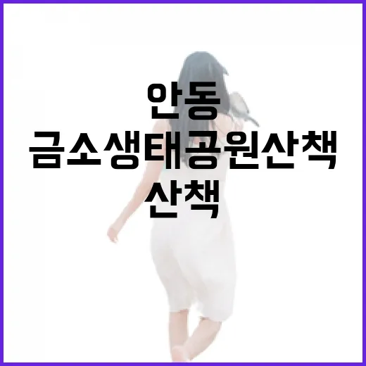 안동 금소생태공원 산책의 매력