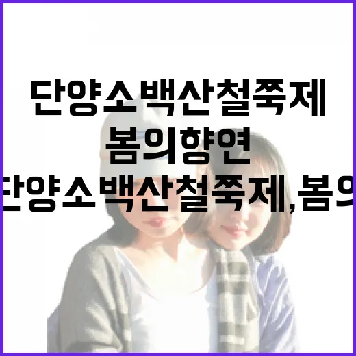 단양 소백산 철쭉제, 봄의 향연 시작