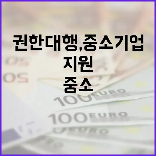 이주호 권한대행, 중소기업 맞춤 지원 강화 약속