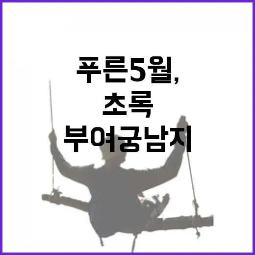 푸른 5월, 부여 궁남지의 초록 물결