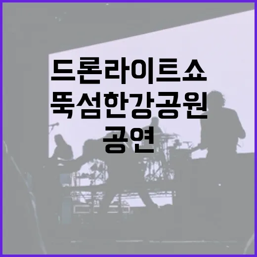 뚝섬한강공원 드론 라이트 쇼 대규모 특별 공연