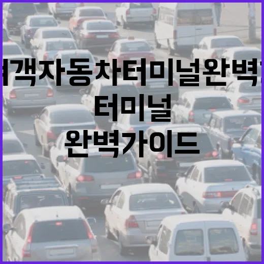 강화여객자동차터미널 완벽 가이드
