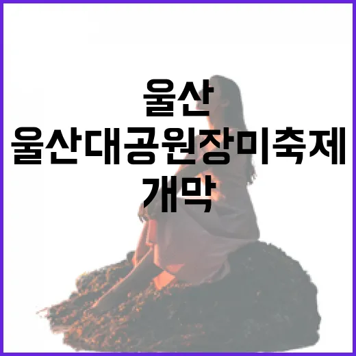 울산대공원 장미축제 화려한 개막