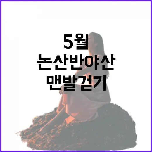 5월 논산 반야산 맨발걷기 명소