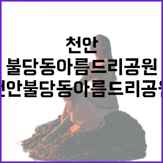 천안 불당동 아름드리공원 산책기