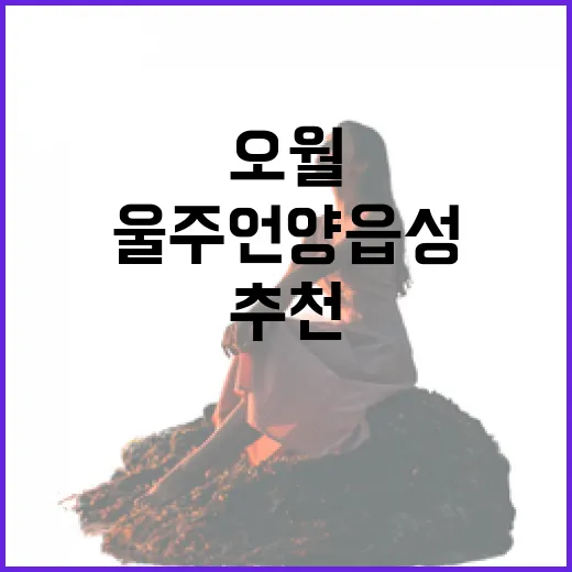 오월의 울주 언양읍성 산책길 추천