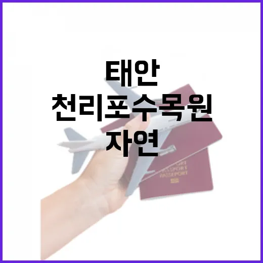 태안 천리포수목원, 자연과 노력의 결실
