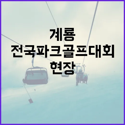 계룡서 펼쳐진 전국 파크골프 대회 현장