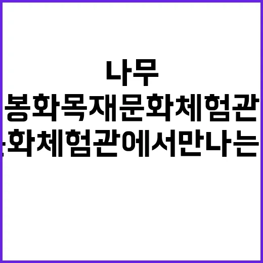 봉화 목재문화체험관에서 만나는 나무의 삶