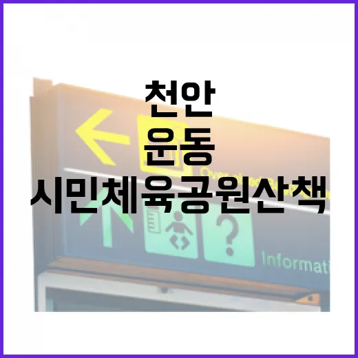 천안 시민체육공원 산책과 운동의 명소