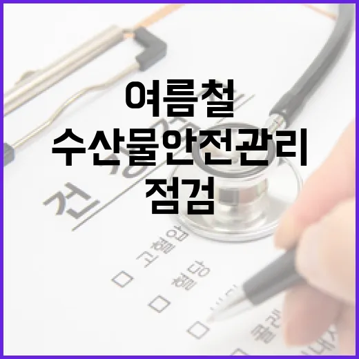 여름철 수산물 안전관리 대대적 점검