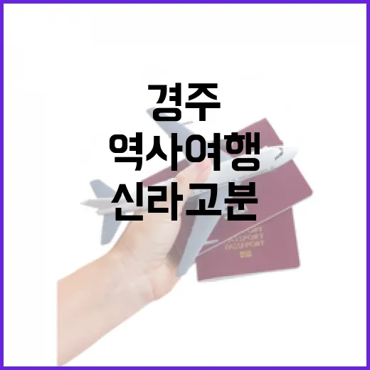 경주 금관총과 신라고분정보센터 역사여행