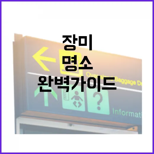 전남 장미 명소 완벽 가이드
