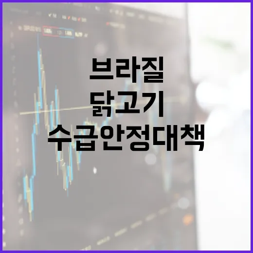 브라질 닭고기 수급 안정 대책 집중 추진