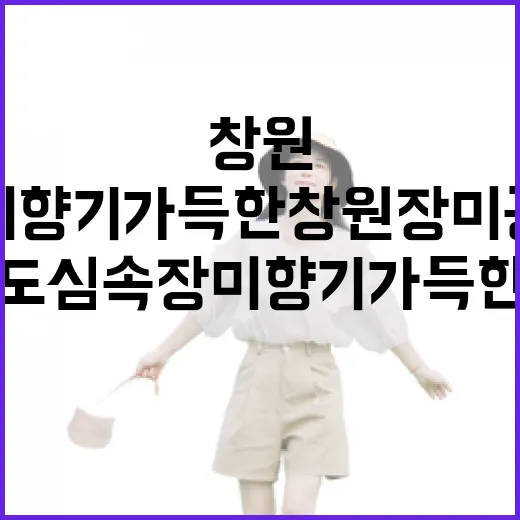 도심 속 장미 향기 가득한 창원 장미공원