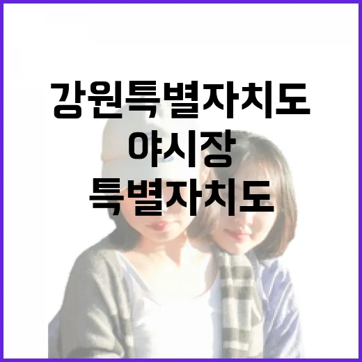 강원특별자치도 야시장 명소 총집합