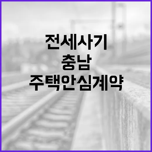 전세사기 걱정 끝, 충남 주택 안심계약 서비스