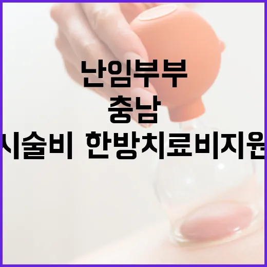 충남 난임부부 시술비·한방치료비 지원 총정리