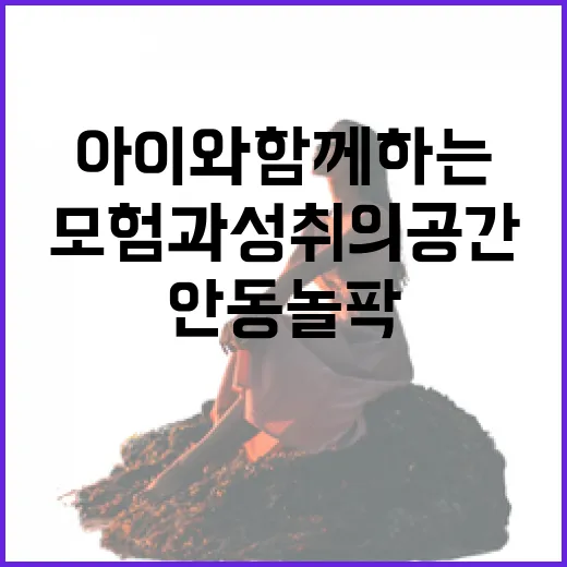 안동 놀팍, 아이와 함께하는 모험과 성취의 공간
