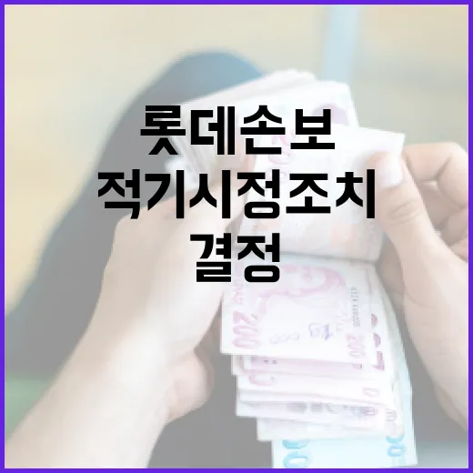 금융위, 롯데손보 적기시정조치 결정 없다고 밝혀