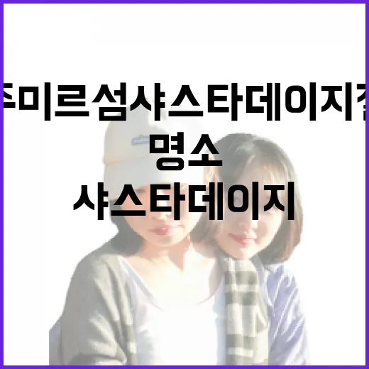 공주 미르섬 샤스타데이지 절정의 봄꽃 명소
