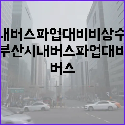 부산 시내버스 파업 대비 비상수송대책 가동