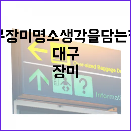 대구 장미 명소 생각을 담는 정원 산책길